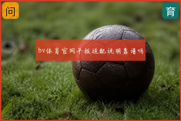 bv体育官网平板适配说明靠谱吗